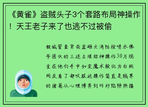 《黄雀》盗贼头子3个套路布局神操作！天王老子来了也逃不过被偷